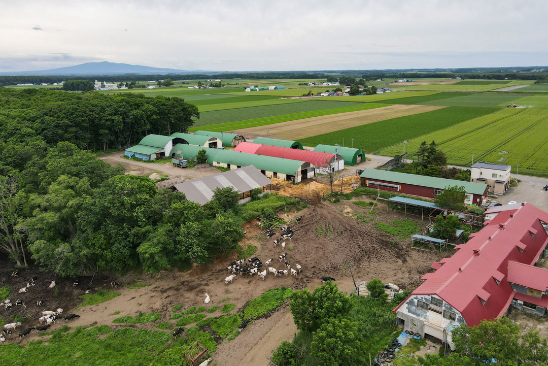 上空からの原田農場